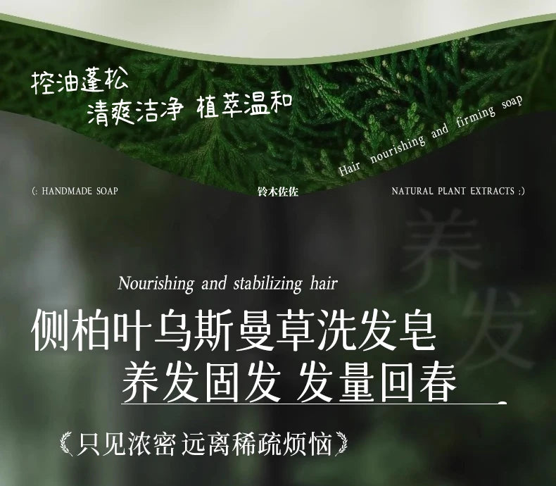 2025 Platycladus Orientalis and Polygonum Multiflorum Thunb. Natural Shampoo and Hair Care Soap Control Oil and Dandruff Repair