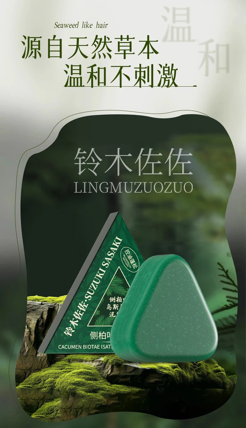 2025 Platycladus Orientalis and Polygonum Multiflorum Thunb. Natural Shampoo and Hair Care Soap Control Oil and Dandruff Repair