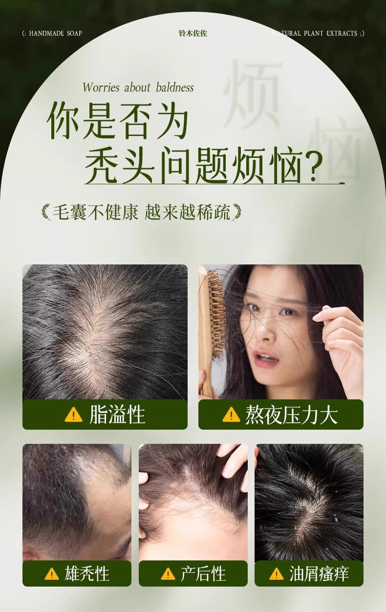 2025 Platycladus Orientalis and Polygonum Multiflorum Thunb. Natural Shampoo and Hair Care Soap Control Oil and Dandruff Repair