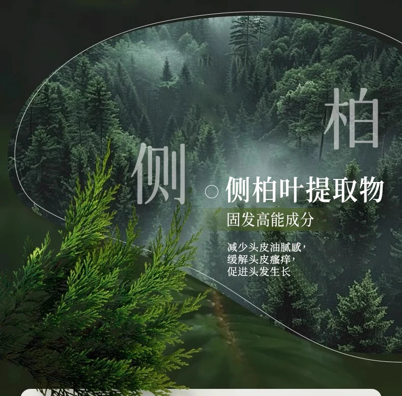 2025 Platycladus Orientalis and Polygonum Multiflorum Thunb. Natural Shampoo and Hair Care Soap Control Oil and Dandruff Repair