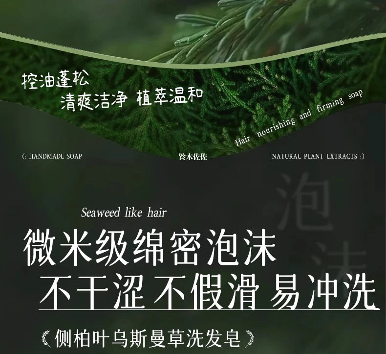 2025 Platycladus Orientalis and Polygonum Multiflorum Thunb. Natural Shampoo and Hair Care Soap Control Oil and Dandruff Repair