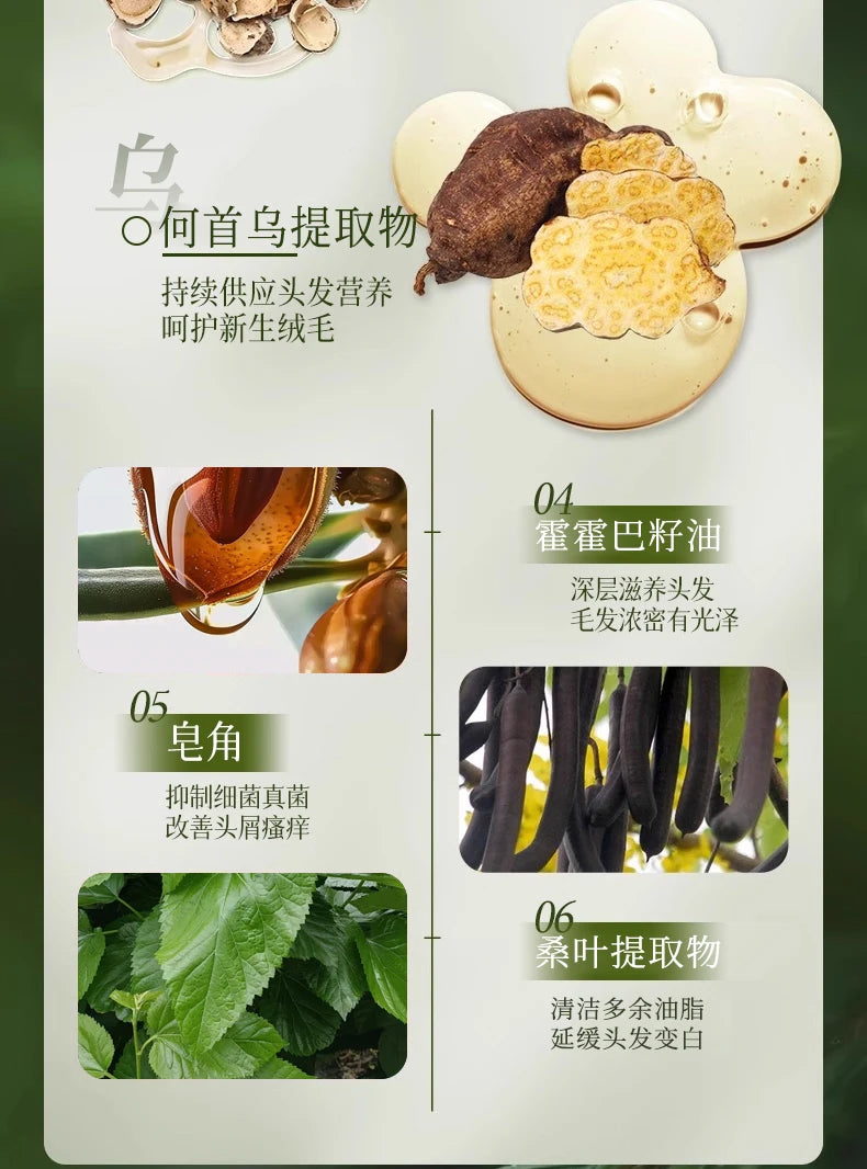 2025 Platycladus Orientalis and Polygonum Multiflorum Thunb. Natural Shampoo and Hair Care Soap Control Oil and Dandruff Repair
