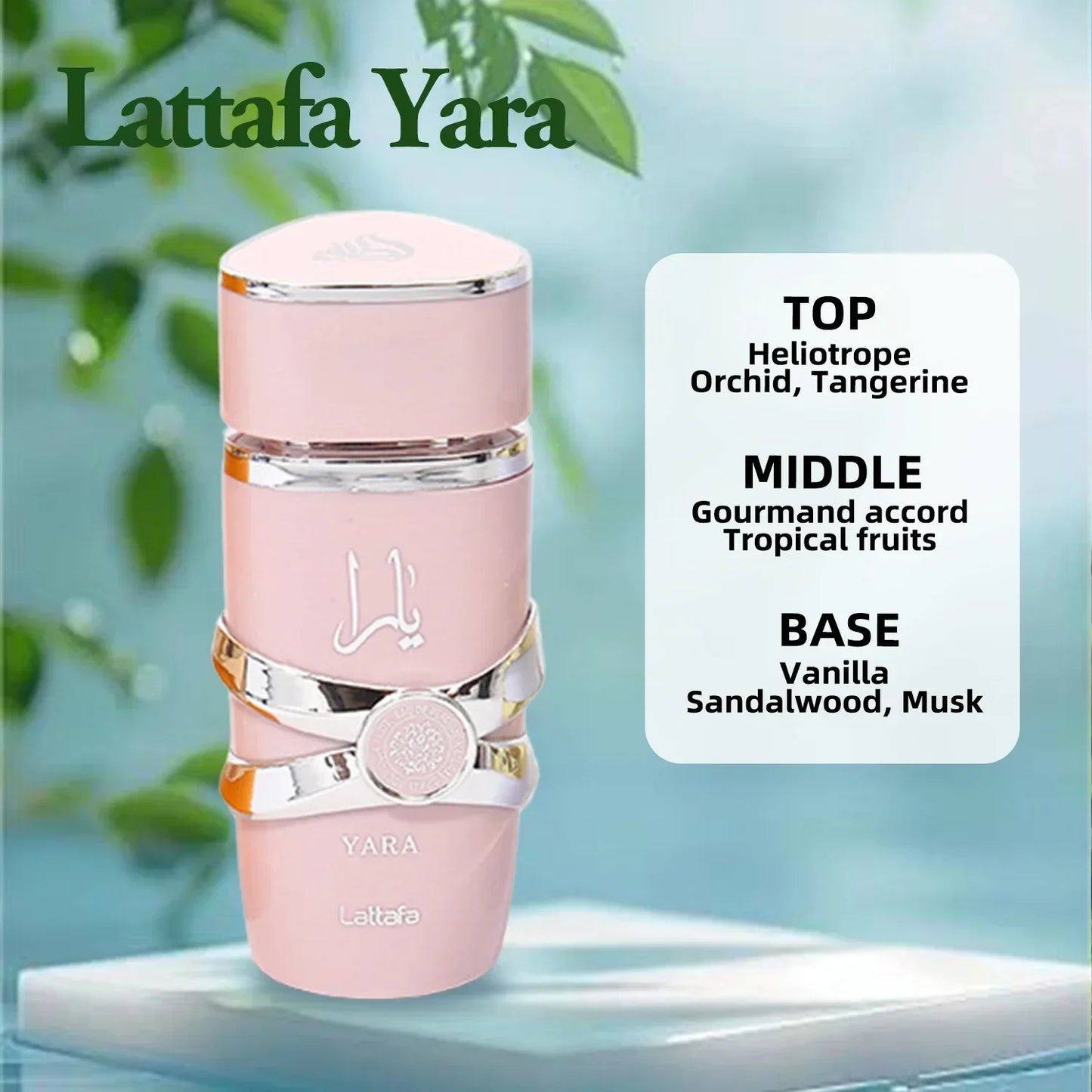 Lattafa Asad Bourbon Original Arab Perfume Floral and Fruity Pheromone The Original Flavor and Natural Fragrance