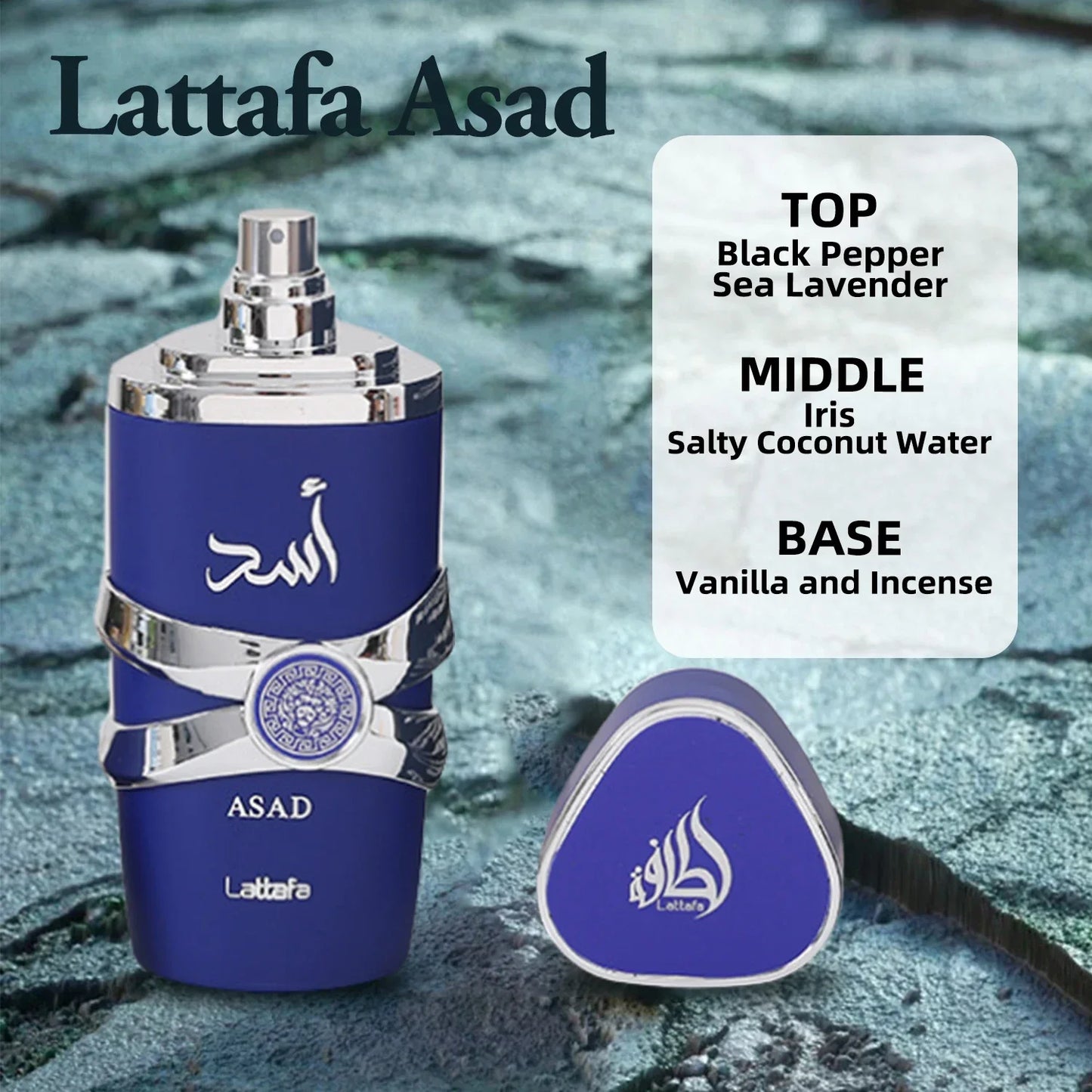 Lattafa Asad Bourbon Original Arab Perfume Floral and Fruity Pheromone The Original Flavor and Natural Fragrance