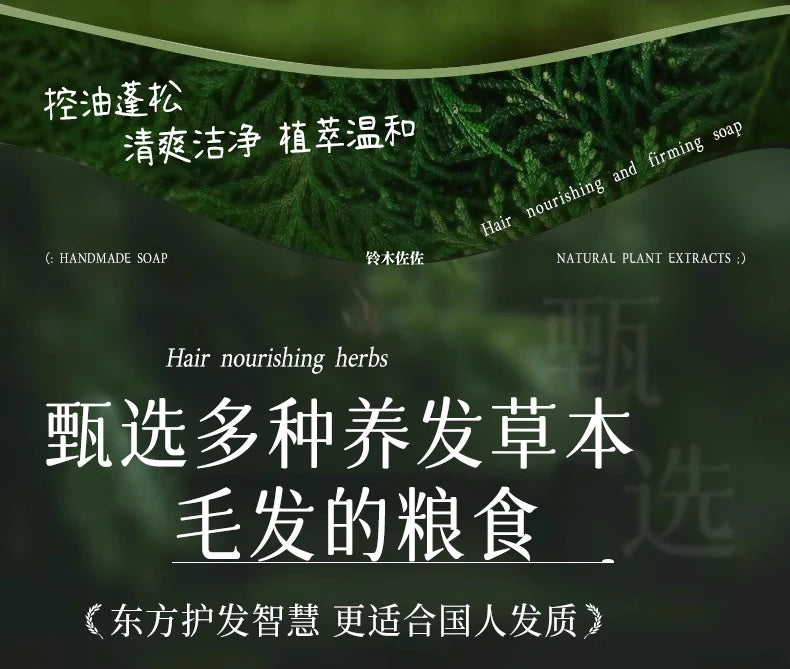 2025 Platycladus Orientalis and Polygonum Multiflorum Thunb. Natural Shampoo and Hair Care Soap Control Oil and Dandruff Repair