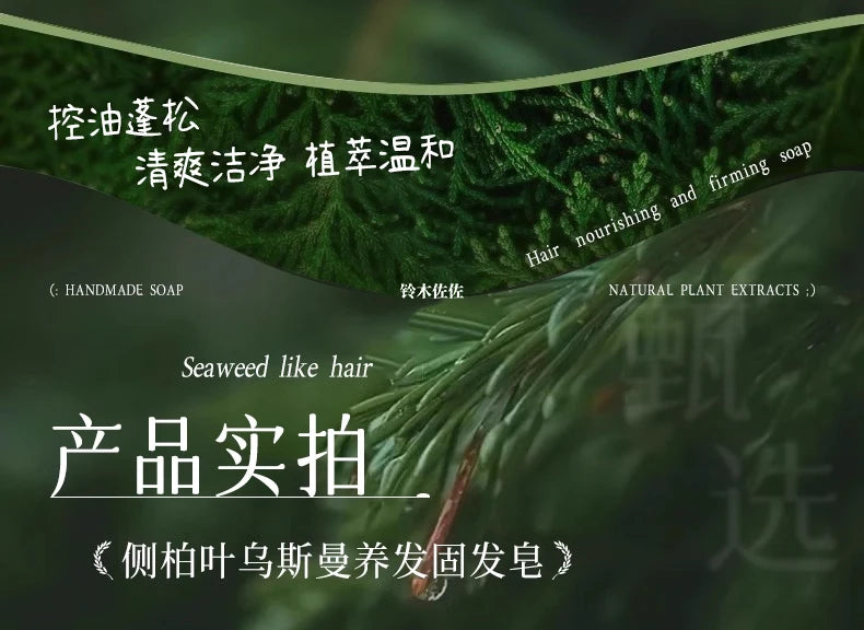 2025 Platycladus Orientalis and Polygonum Multiflorum Thunb. Natural Shampoo and Hair Care Soap Control Oil and Dandruff Repair